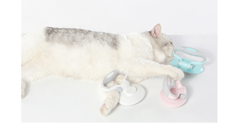 Furcare Pro: The Ultimate Self-Cleaning Wire Brush For A Flawless Grooming Experience!