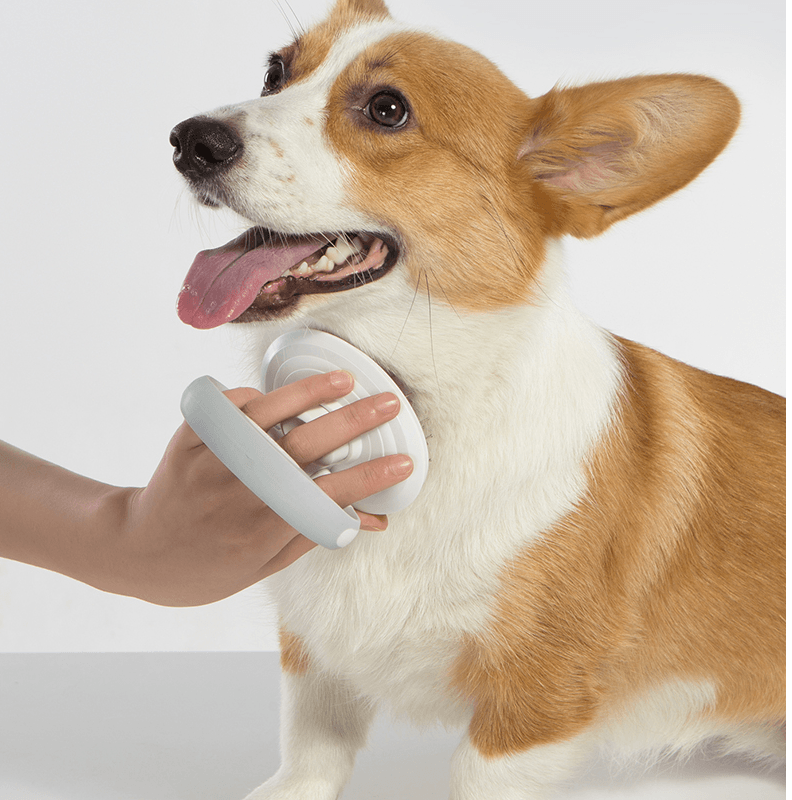 Furcare Pro: The Ultimate Self-Cleaning Wire Brush For A Flawless Grooming Experience!
