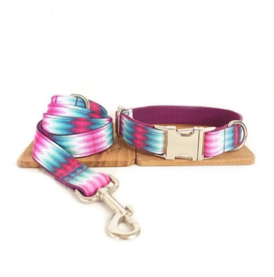 Vibrant Ribbon Traction Set For Patterned Dog Collars