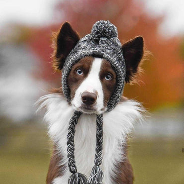 Fluffy Polar Pom Knitted Dog Hat - Winter Fashion Statement-1
