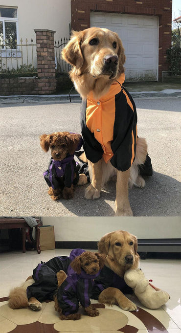 Ultimate Waterproof Dog Raincoat: Keep Your Pooch Dry In Style!-1
