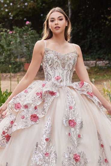 LAYERED TULLE QUINCE BALL GOWN WITH FORAL APPLIQUE CD15703-1