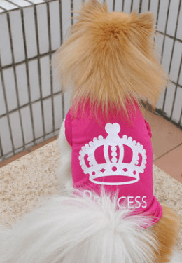 Elegant Canine Royalty Vest-3