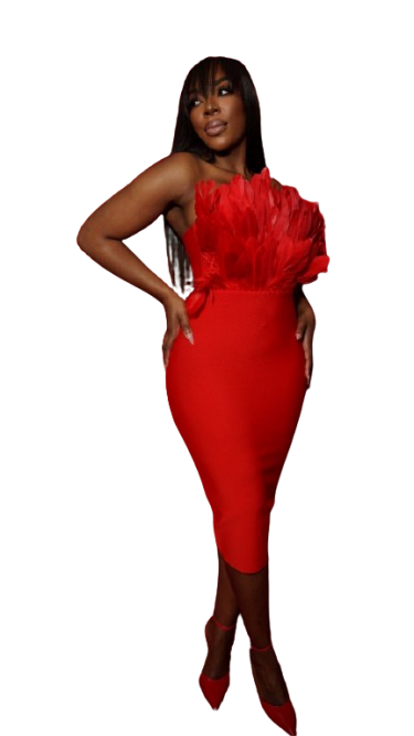 Dylan and Davids Bodycon Bandage Short-Length Feather Formal Dress-5