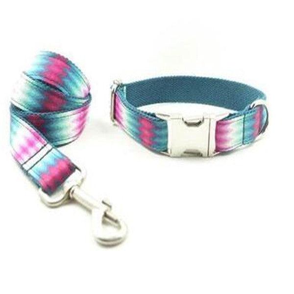 Vibrant Ribbon Traction Set For Patterned Dog Collars