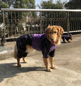 Ultimate Waterproof Dog Raincoat: Keep Your Pooch Dry In Style!-4