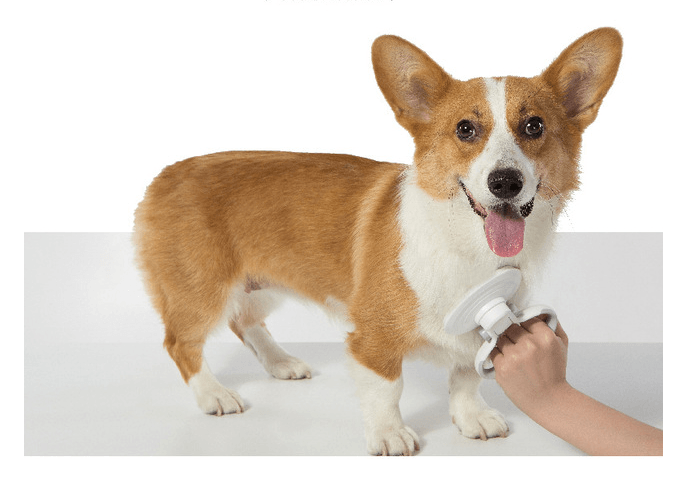 Furcare Pro: The Ultimate Self-Cleaning Wire Brush For A Flawless Grooming Experience!