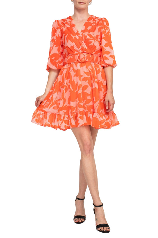 Taylor V-Neck Short Sleeve Printed Chiffon Belted A-Line Dress-0