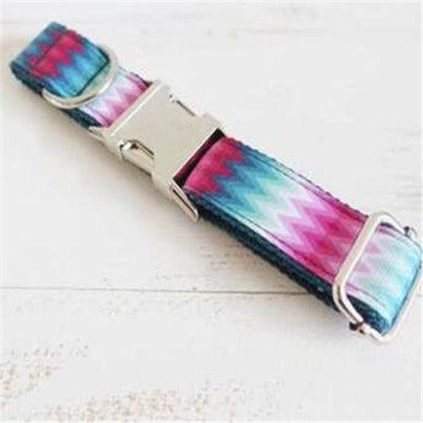 Vibrant Ribbon Traction Set For Patterned Dog Collars