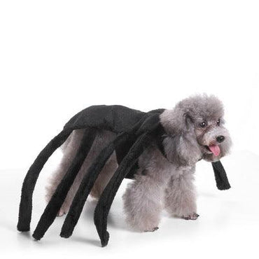 Spooky Festive Dog Costume-0