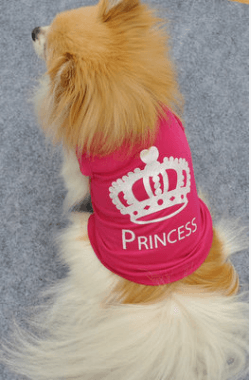Elegant Canine Royalty Vest-1