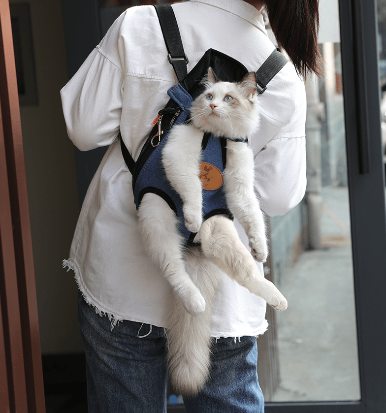 Spring Adventure Cat Carrier: Explore The Outdoors With Your Feline Friend
