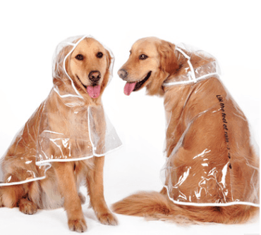 Transparent Waterproof Raincoat For Medium-Sized Dogs-1