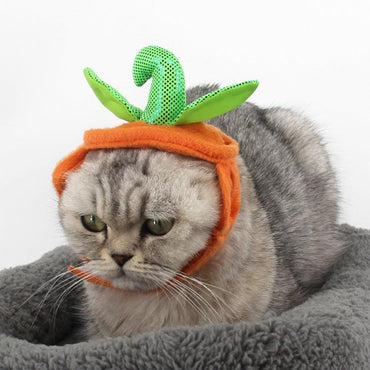 Pet Pumpkin Leaf Costume - Creative Halloween Cat Cosplay Clothing-1