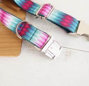 Vibrant Ribbon Traction Set For Patterned Dog Collars