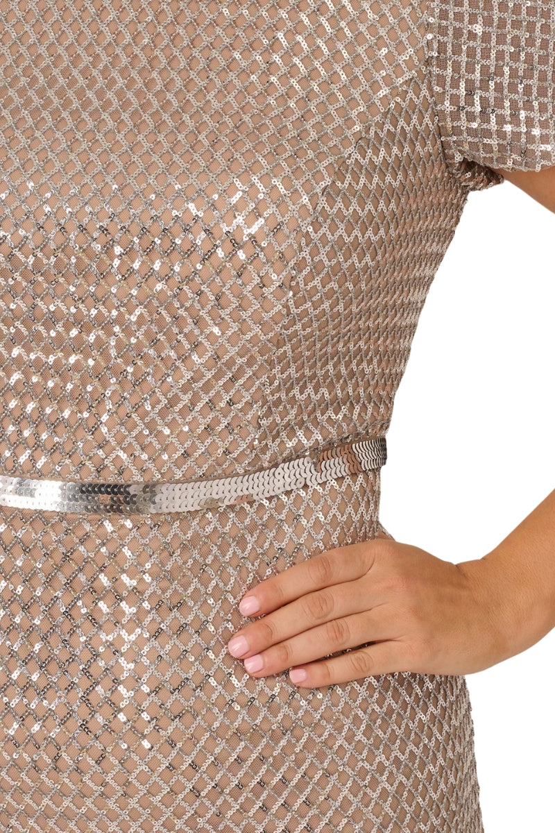 Adrianna Papell Sequin Short Sleeve With Embellished Waist In Silver Column Gown (Plus Size)-3