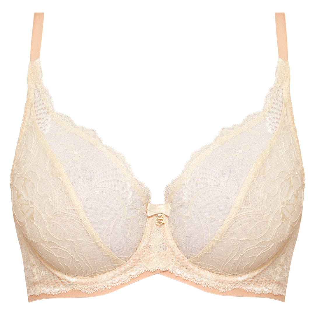Sheer Lace Plunge Underwire Bra Anabelle-4