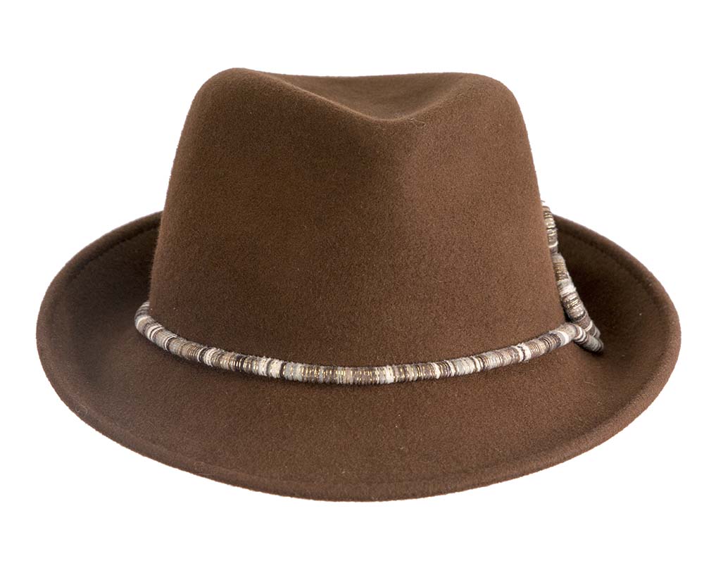 Elegant brown felt fedora hat