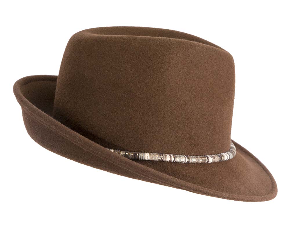 Elegant brown felt fedora hat
