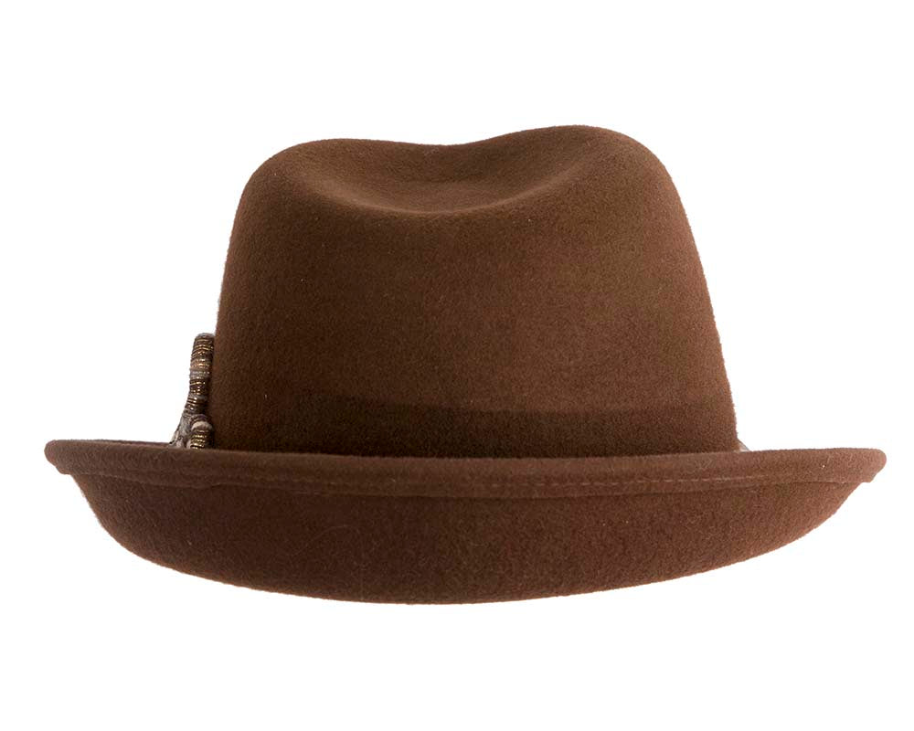 Elegant brown felt fedora hat