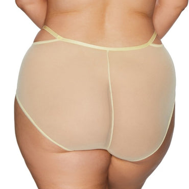 Soft High Waist Tulle Brief Panty Kinga Forget Me Not-1