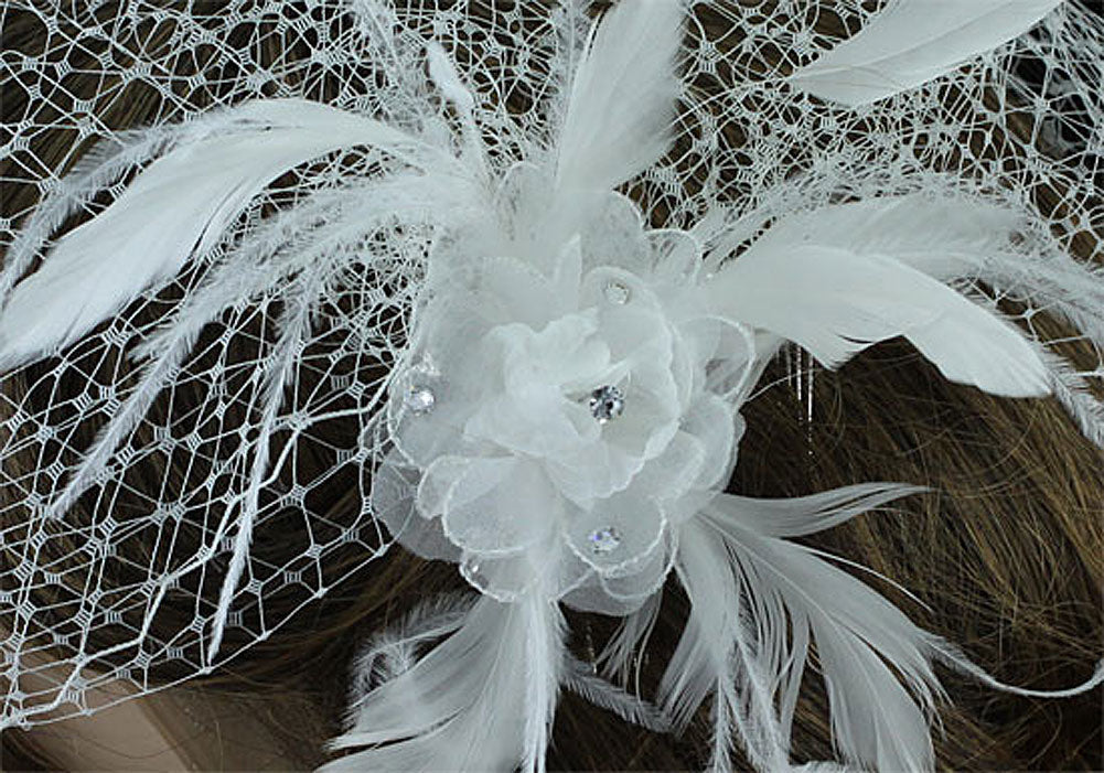 Bridal Wedding Birdcage Netting Veil with Feathers Fascinator Flower XT1574-3