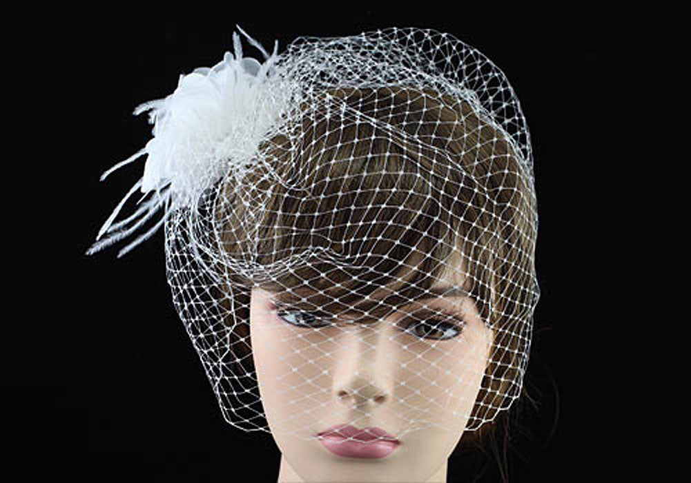 Bridal Birdcage Netting Veil Feathers Fascinator White Hair Flower XT1659-0
