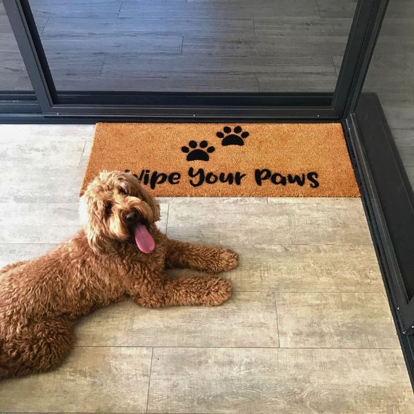 Wipe Your Paws Doormat