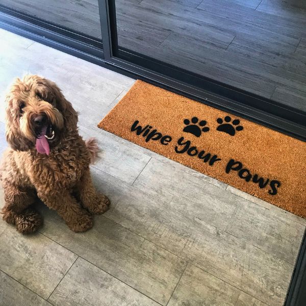 Wipe Your Paws Doormat