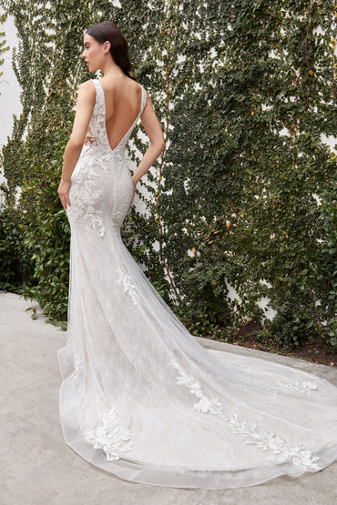 Avery Lace Bodice Illusion V-Neck Long Wedding Dress CDA1072W-1
