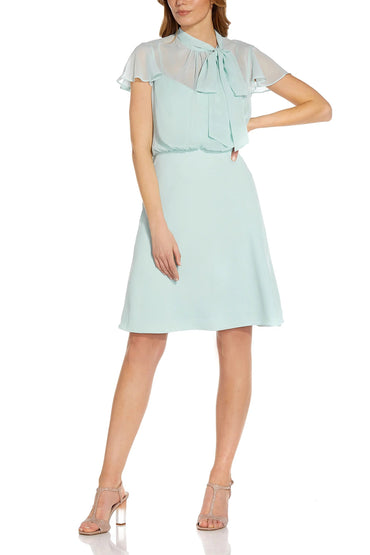 Adrianna Papell Tie Neck Illusion Sleeve Keyhole Back A-Line Crepe Chiffon Dress-1