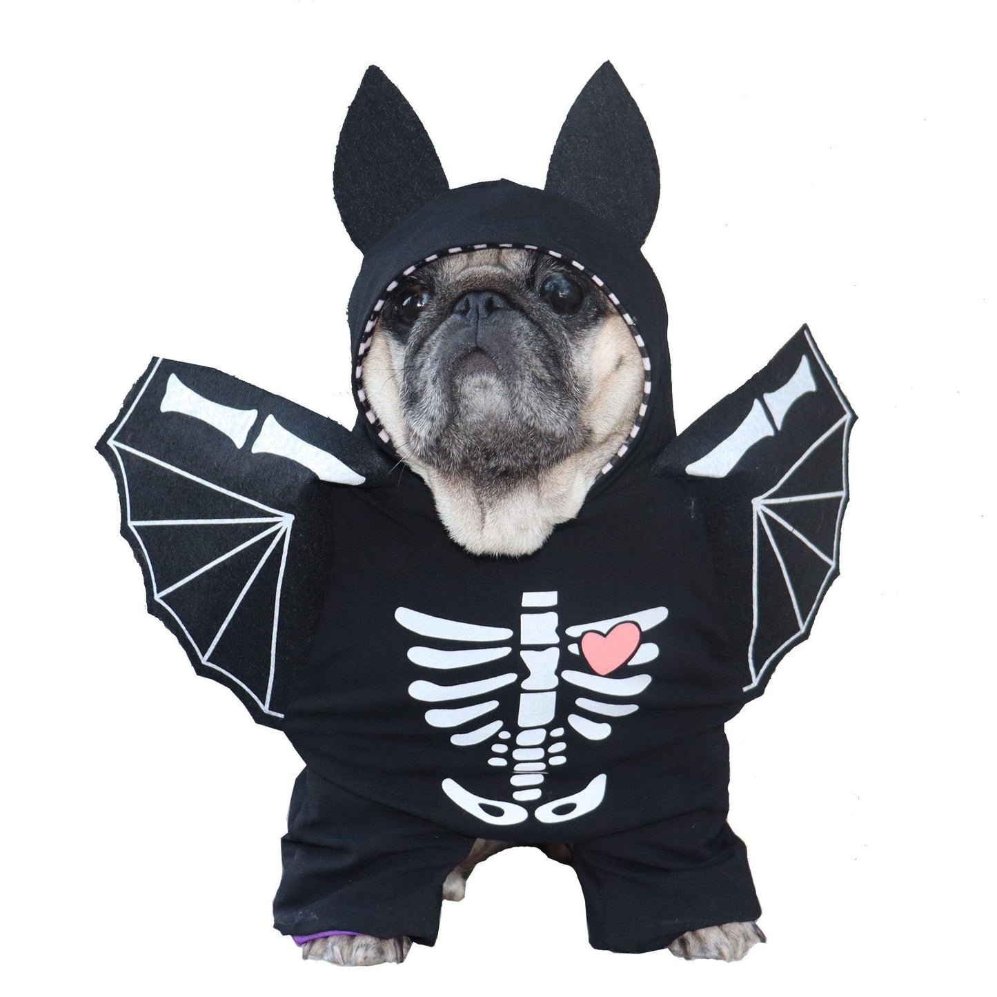 Black Bat Stand Up Dog Transformation Outfit