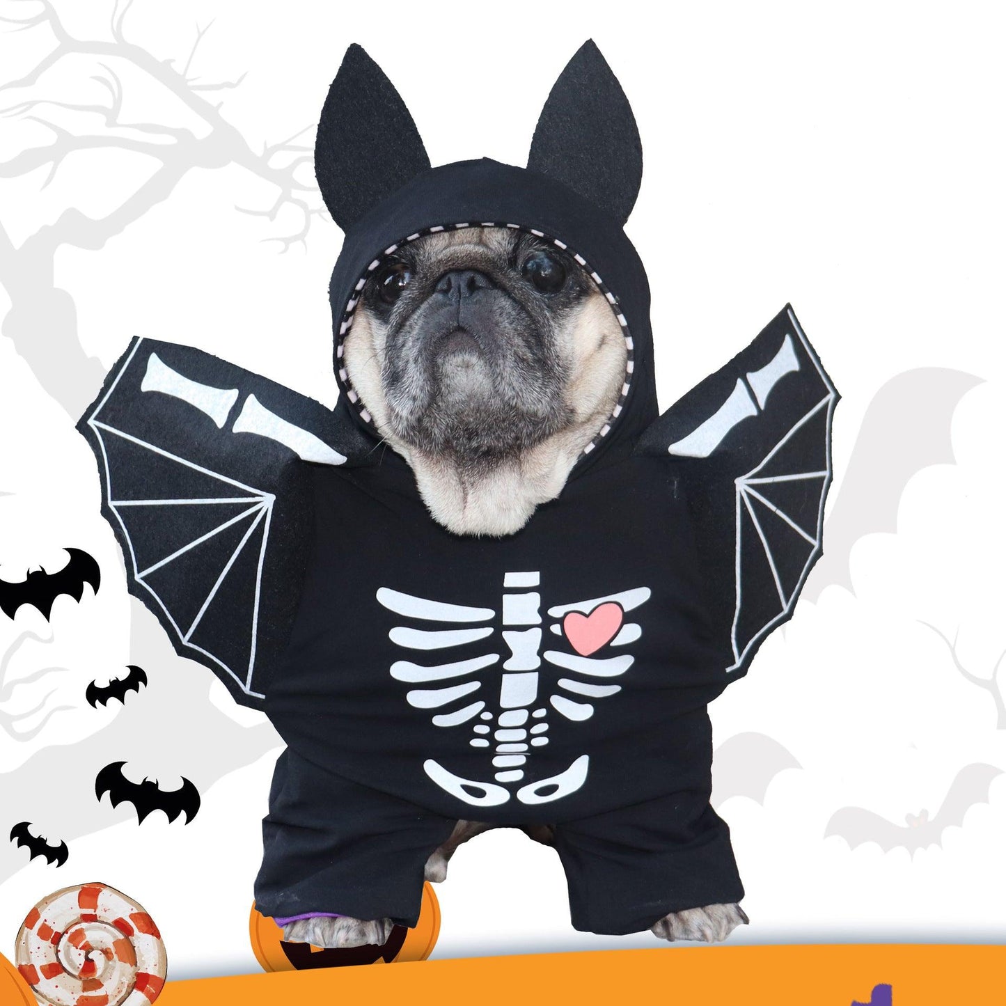 Black Bat Stand Up Dog Transformation Outfit