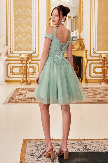OFF THE SHOULDER LACE COCKTAIL DRESS CDCD0132-1