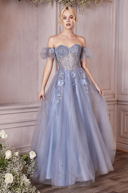 Dusty Blue, Champagne Off-Shoulder Floral Corset Tulle Ball Gown CDCD0191-0