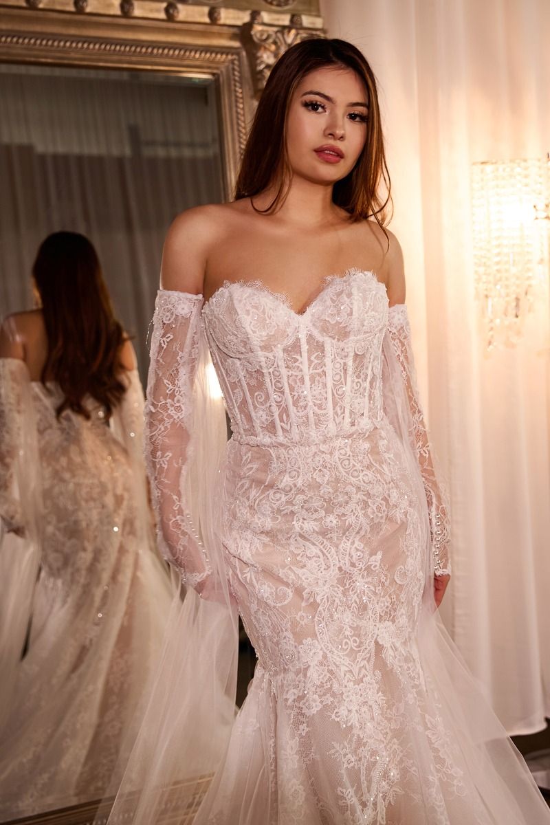 Fitted Embroidered Lace Mermaid Sheer Sleeves Long Wedding Dress CDCDS424W