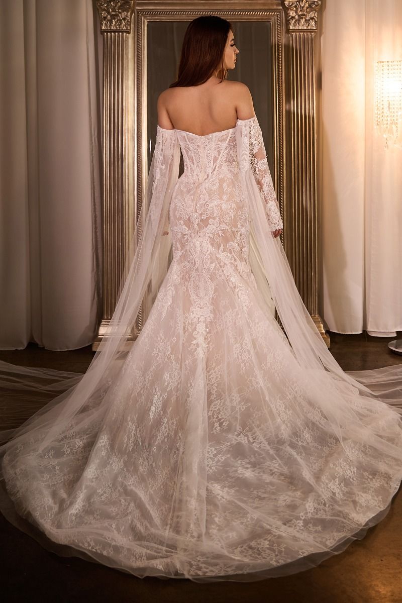 Fitted Embroidered Lace Mermaid Sheer Sleeves Long Wedding Dress CDCDS424W