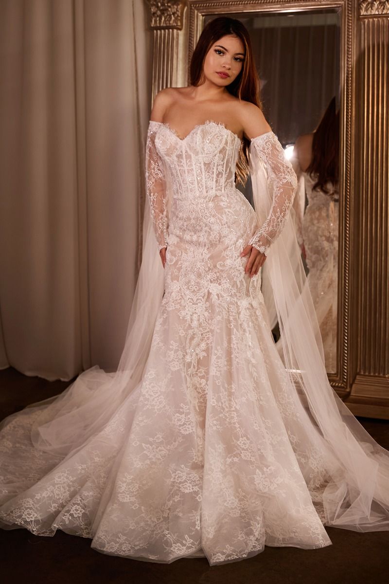 Fitted Embroidered Lace Mermaid Sheer Sleeves Long Wedding Dress CDCDS424W