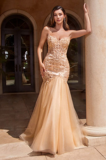 STRAPLESS LACE & TULLE MERMAID GOWN CDCDS482-1