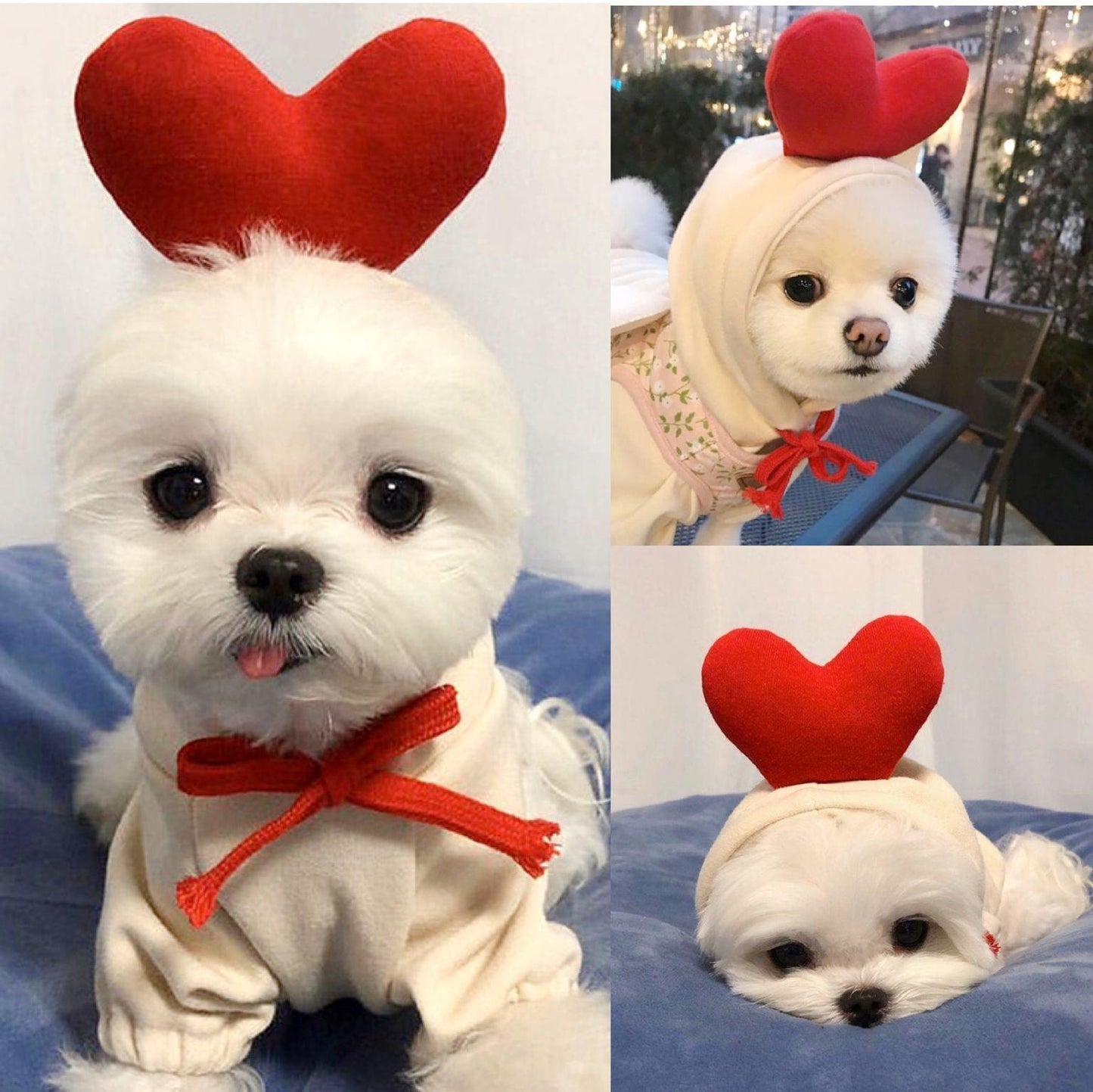 Cozy Love Sweater: Adorable Autumn And Winter Clothing For Small And Medium Dogs