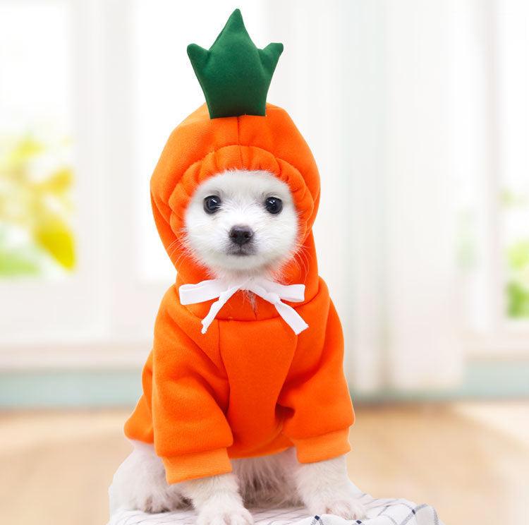 Cozy Love Sweater: Adorable Autumn And Winter Clothing For Small And Medium Dogs