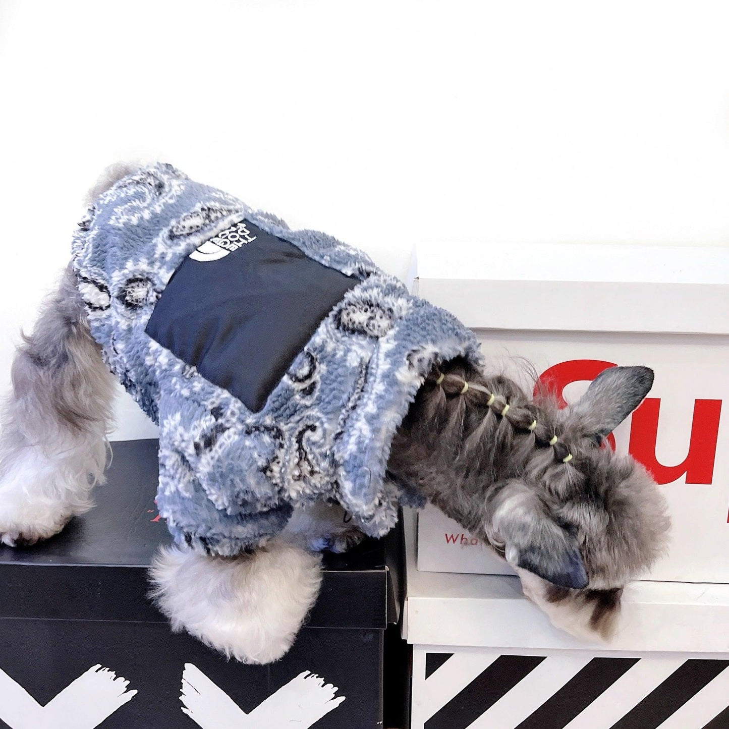 Cozy Velvet Apparel For Feline And Canine Companions-3