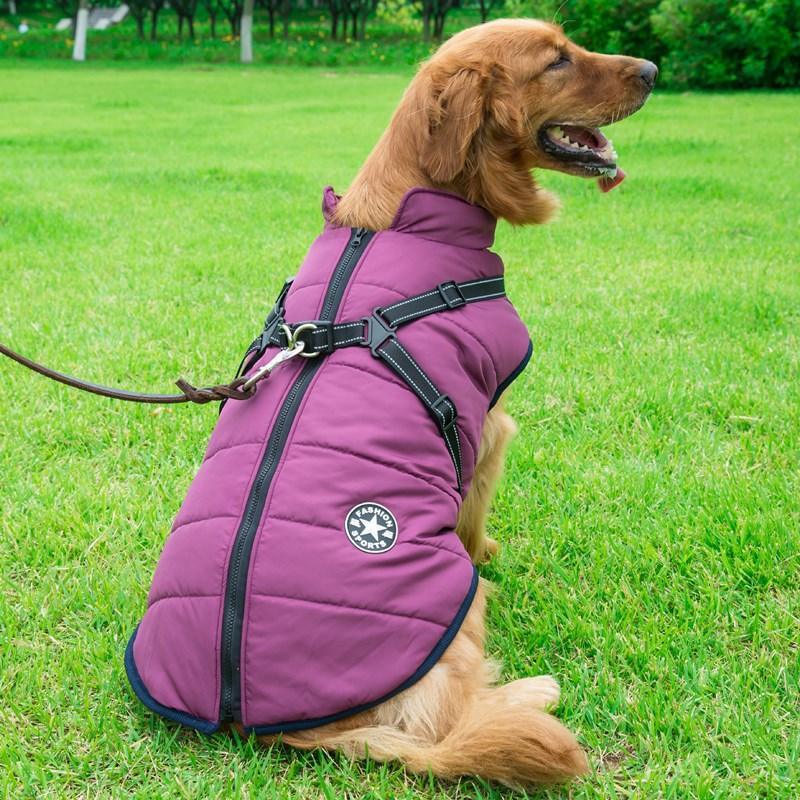 Cozycanine Integrated Cotton Vest - Stylish Winter Apparel For Dogs-6