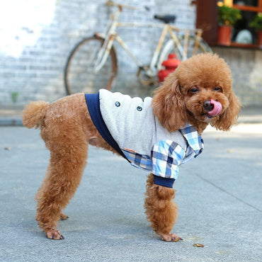 Cozycanine Pet Apparel: Stylish And Comfortable Dog Clothing-1