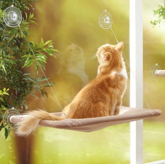 Cozycat Window Perch: The Ultimate Sunny Spot For Your Feline Friend-0