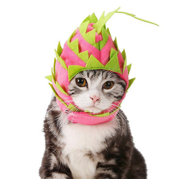 Tropical Dragon Fruit Pet Hat: A Fun And Stylish Costume For Dogs And Cats-1