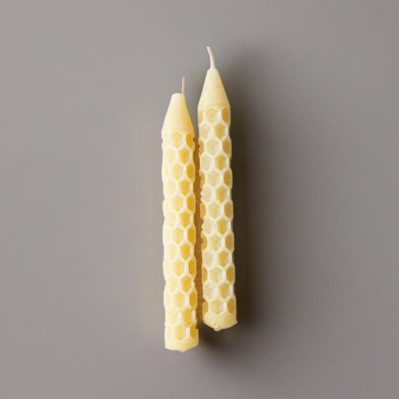 Coloured Beeswax Candles | Tree Tapers | Box of 16