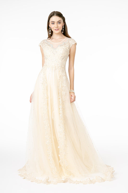 Embroidered Mesh A-Line w/ Sheer Back Long Prom Dress GLGL2882-0