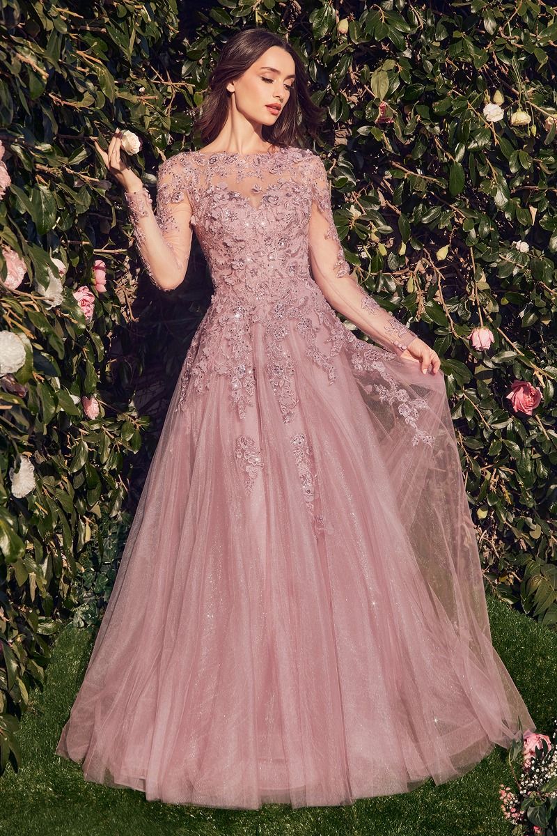 LACE LAYERED TULLE LONG SLEEVE GOWN CDMA108