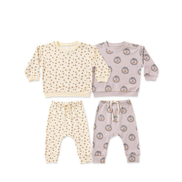 Baby Boy And Girl Print Pattern Cotton Hoodie Combo Trousers Sets-1